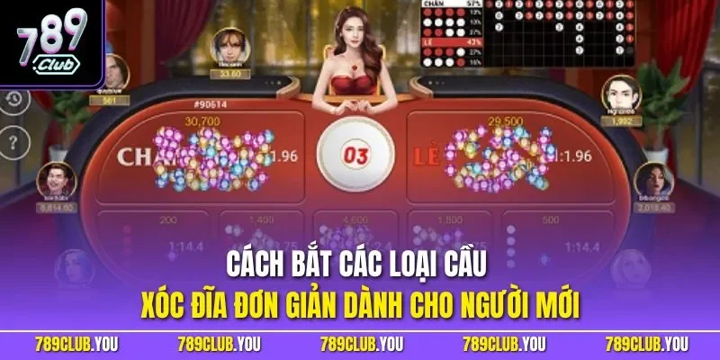 Cách bắt các loại cầu xóc đĩa đơn giản dành cho người mới