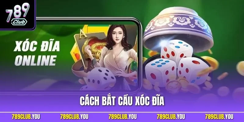 Cách bắt cầu xóc đĩa